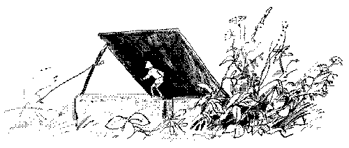 Летающий на стрекозе pic_17.png