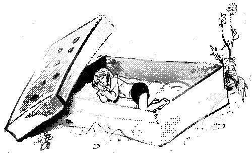 Летающий на стрекозе pic_19.png