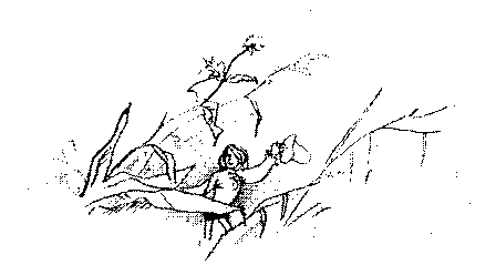 Летающий на стрекозе pic_23.png