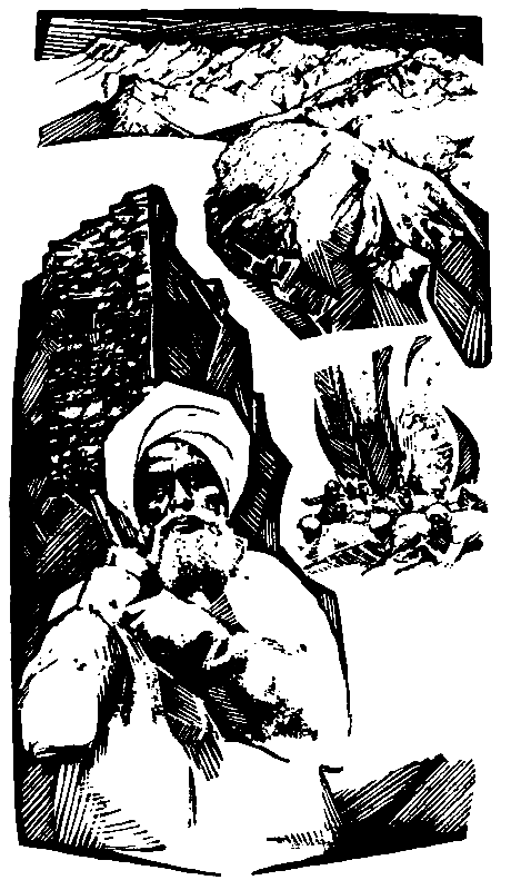 Избранное pic_4.png