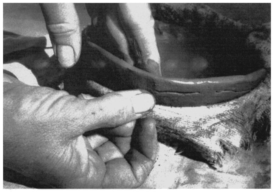 Primitive Skills And Crafts _13.jpg