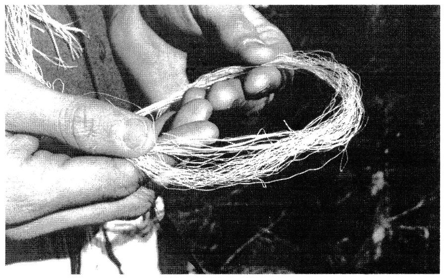 Primitive Skills And Crafts _25.jpg