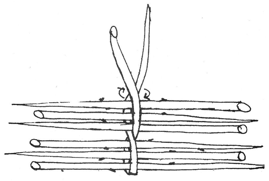 Primitive Skills And Crafts _44.jpg
