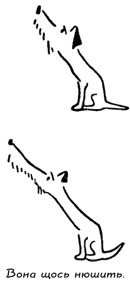 Казки doc2fb_image_03000026.png