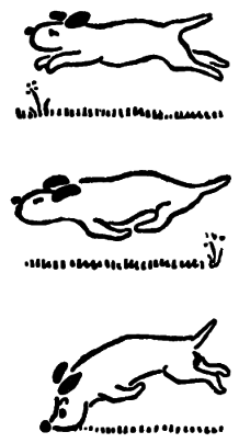 Казки doc2fb_image_0300002A.png