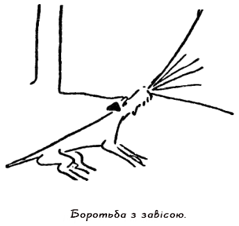 Казки doc2fb_image_0300002E.png