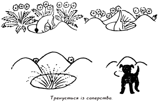 Казки doc2fb_image_03000033.png