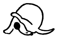 Казки doc2fb_image_03000044.png