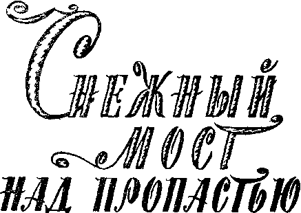 Снежный мост над пропастью (сборник) i_002.png