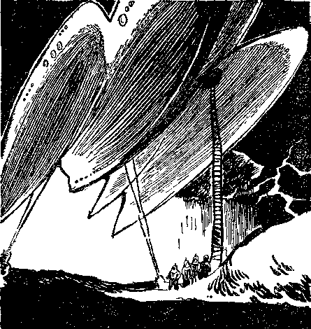 Снежный мост над пропастью (сборник) i_013.png