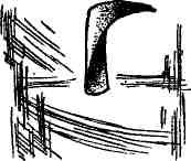 img_4.jpeg