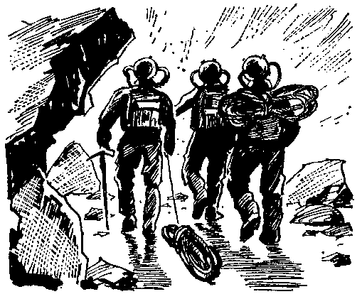 Черные алмазы (с илл.) pic_48.png
