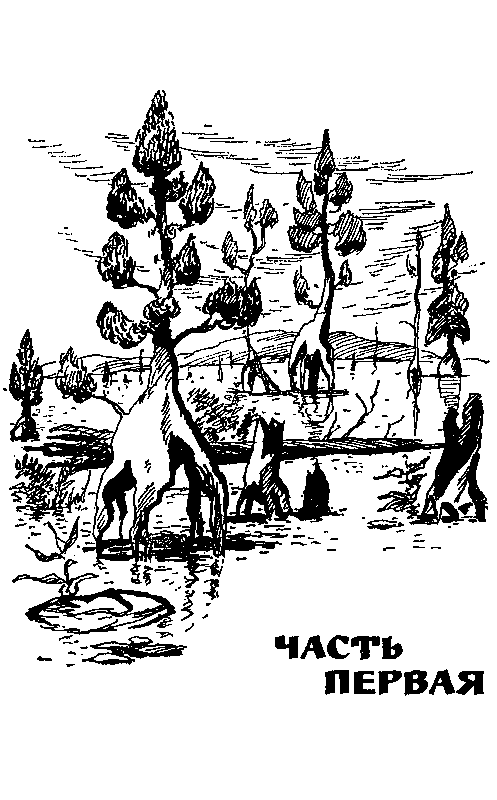 Черные алмазы (с илл.) pic_3.png