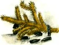 Хорошая пословица (сборник) i_007.jpg