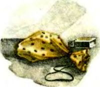Хорошая пословица (сборник) i_014.jpg