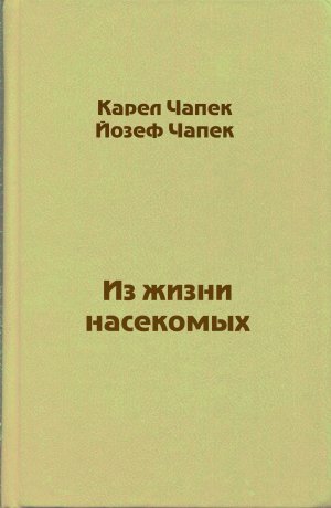 Из жизни насекомых