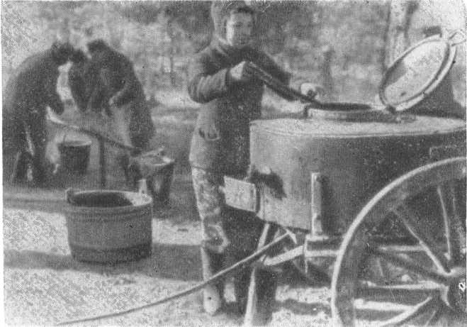 i_017.jpg