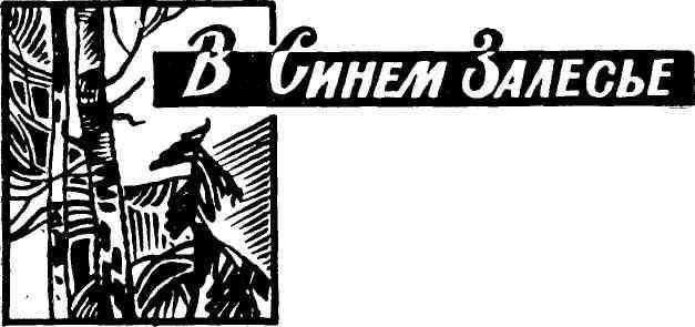 Корень рода img_2.jpeg