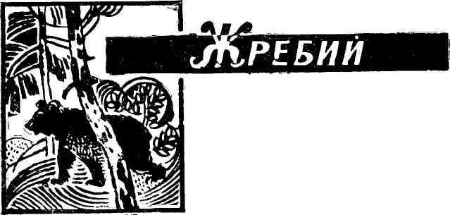 Корень рода img_5.jpeg