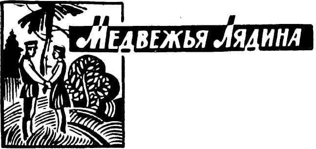 Корень рода img_4.jpeg