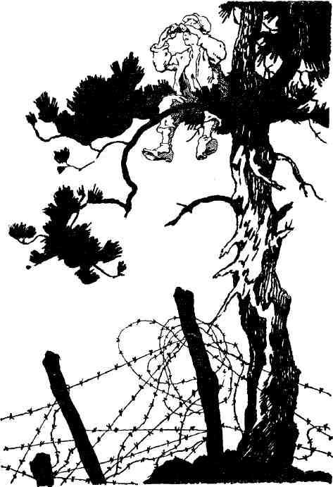 Сить — таинственная река (сборник) img_17.jpeg