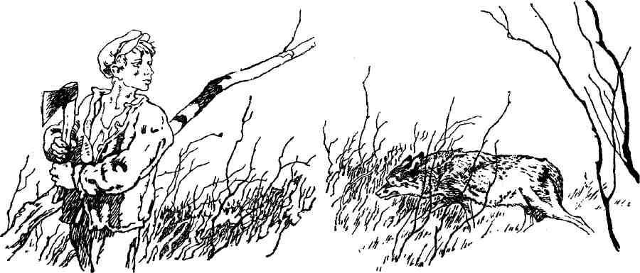 Сить — таинственная река (сборник) img_5.jpeg