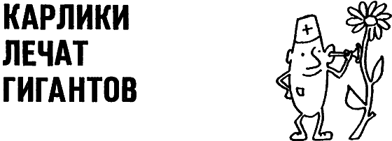 Карлики рождают гигантов i_033.png