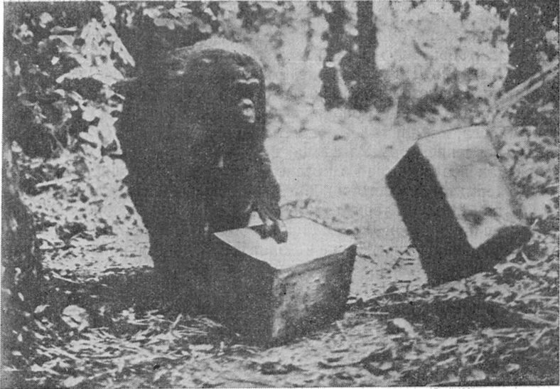 У истоков человечества i_011.jpg