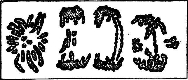 У истоков человечества i_021.png