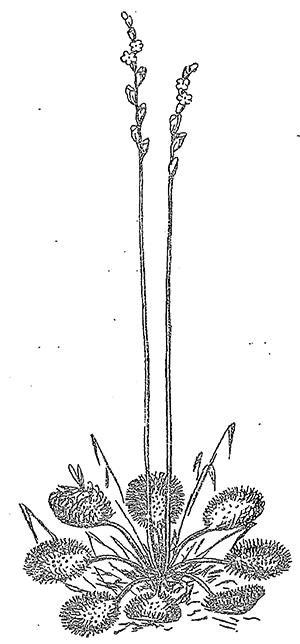 Загадки леса i_012.png