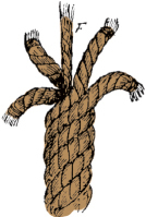 Mountain Man Skills: Hunting, Trapping, Woodwork, and More _64.jpg