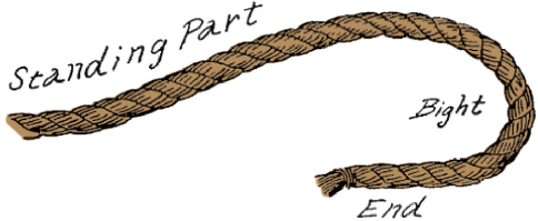 Mountain Man Skills: Hunting, Trapping, Woodwork, and More _65.jpg