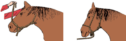 Mountain Man Skills: Hunting, Trapping, Woodwork, and More _91.jpg