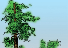 Mountain Man Skills: Hunting, Trapping, Woodwork, and More _97.jpg