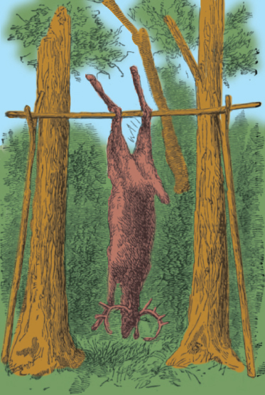 Mountain Man Skills: Hunting, Trapping, Woodwork, and More _134.jpg