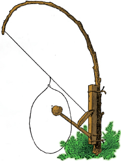 Mountain Man Skills: Hunting, Trapping, Woodwork, and More _140.jpg