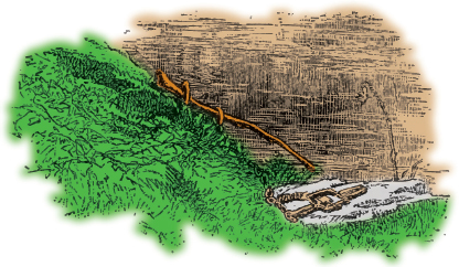 Mountain Man Skills: Hunting, Trapping, Woodwork, and More _145.jpg