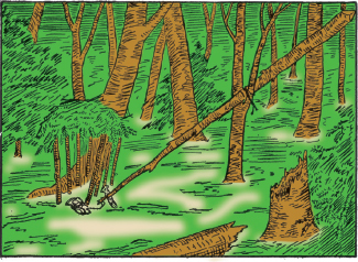 Mountain Man Skills: Hunting, Trapping, Woodwork, and More _147.jpg