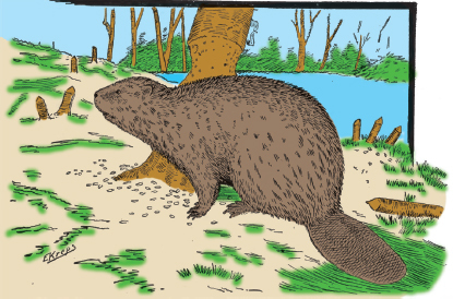 Mountain Man Skills: Hunting, Trapping, Woodwork, and More _148.jpg