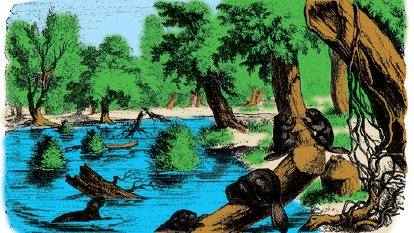 Mountain Man Skills: Hunting, Trapping, Woodwork, and More _152.jpg