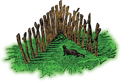 Mountain Man Skills: Hunting, Trapping, Woodwork, and More _154.jpg