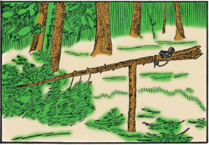 Mountain Man Skills: Hunting, Trapping, Woodwork, and More _157.jpg