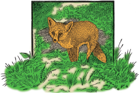 Mountain Man Skills: Hunting, Trapping, Woodwork, and More _164.jpg