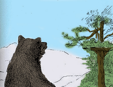 Mountain Man Skills: Hunting, Trapping, Woodwork, and More _167.jpg