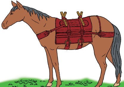 Mountain Man Skills: Hunting, Trapping, Woodwork, and More _25.jpg