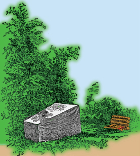Mountain Man Skills: Hunting, Trapping, Woodwork, and More _47.jpg