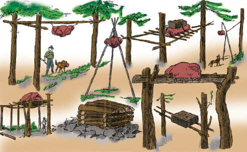 Mountain Man Skills: Hunting, Trapping, Woodwork, and More _52.jpg