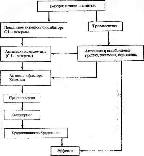 Действие природных факторов на человека i_005.jpg