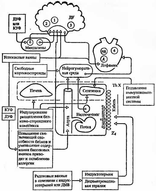 Действие природных факторов на человека i_007.jpg