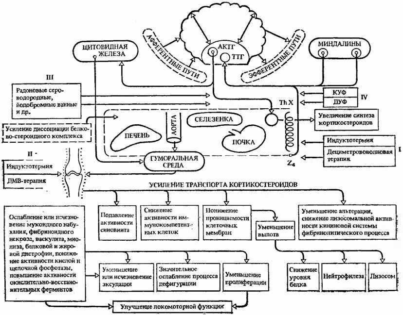 Действие природных факторов на человека i_008.jpg